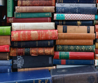 ed robertson eeSdJfLfx1A unsplash