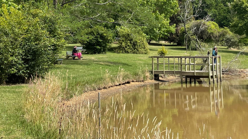 H P pond contemplation v2